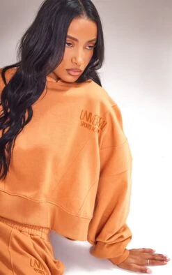 Prettylittlething Burnt Orange Premium Tonal Print Panelled Boxy Hoodie Burnt Orange -Prettylittlething 0be01bad3089b730243fc2f8fa2495f99845748e cnf8439 4
