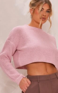Prettylittlething Blush Basic Crew Neck Crop Knit Sweater Blush -Prettylittlething 3b45e3d6ac324a5f15d5a63e6eec67c27ab38cfd cmn4699 4