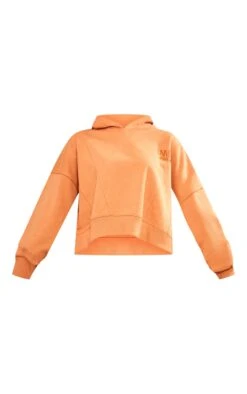 Prettylittlething Burnt Orange Premium Tonal Print Panelled Boxy Hoodie Burnt Orange -Prettylittlething 64ea68ee033f4e540cdaf96075d35e3a50f1f59e cnf8439 5