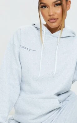 PRETTYLITTLETHING Logo Ash Grey Est 2012 Oversized Fit Hoodie Ash Grey -Prettylittlething ec37dba17302fffd3be65fb4d9a9772cc9b09fe6 CMT8548 4